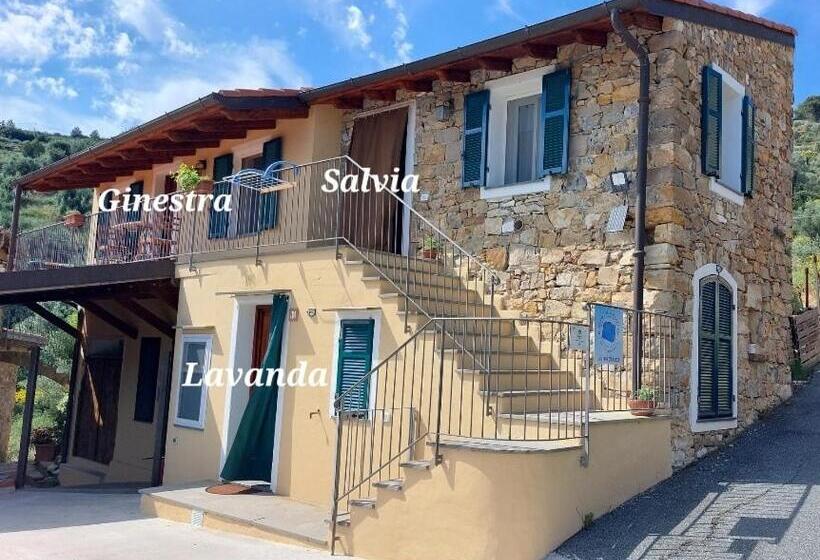 اتاق استاندارد, Il Nido Del Viaggiatore