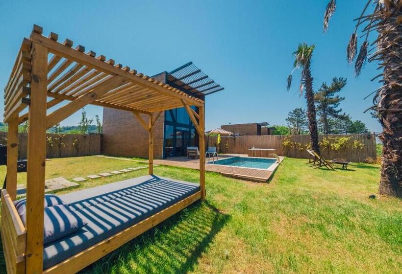 اتاق استاندارد با چشم‌انداز دریاچه, Stay In Sapanca