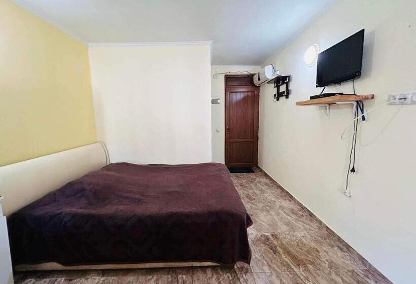 استودیوی استاندارد با چشم‌انداز دریا, Cozy Flat N2