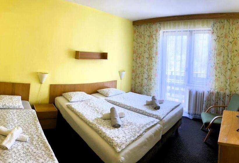Трехместный Номер Стандарт с Балконом, Star Hotels Benecko