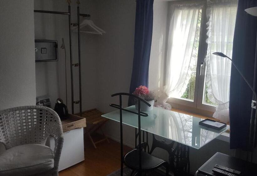 Номер Deluxe, Airport Zürich Elwiras B & B