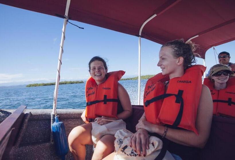سرير فى غرفة مشتركه, Spanish By The Sea   Bocas