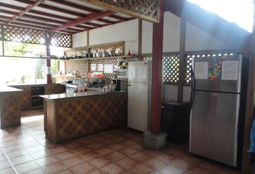 سرير فى غرفة مشتركه, Spanish By The Sea   Bocas