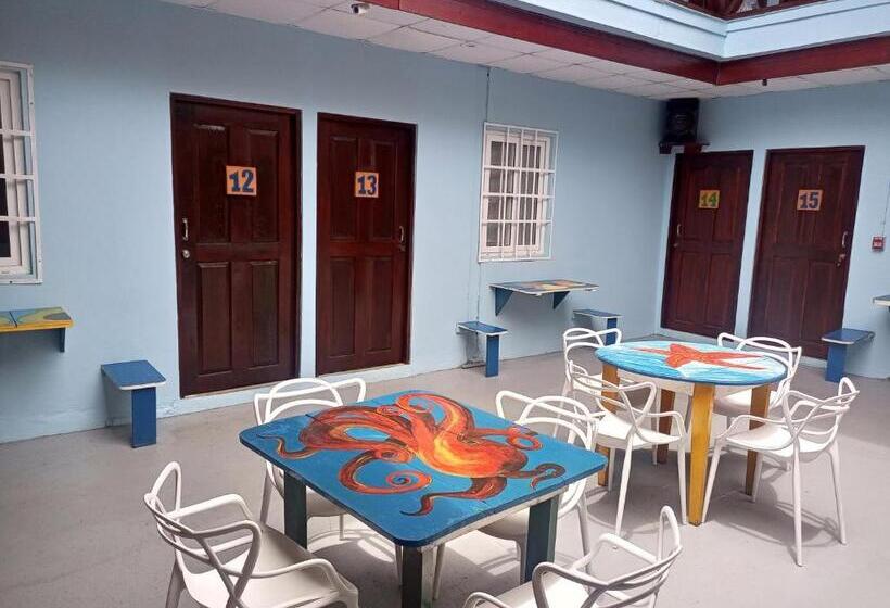غرفة قياسية, Surfari Bocas