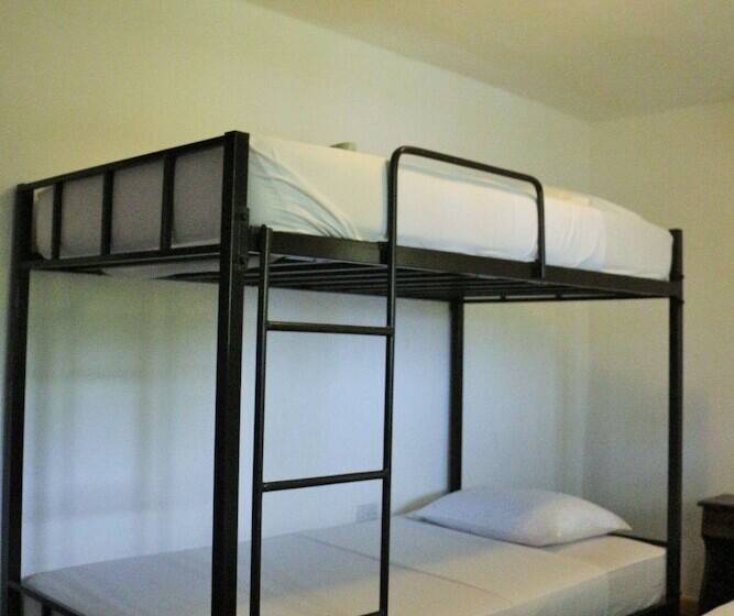 اتاق ساده چهارنفره, Hostel Mamallena Bocas Del Toro   Adults Only