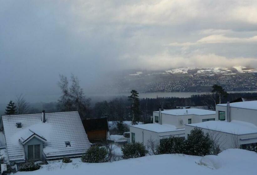 Номер Стандарт, Panorama Windegg