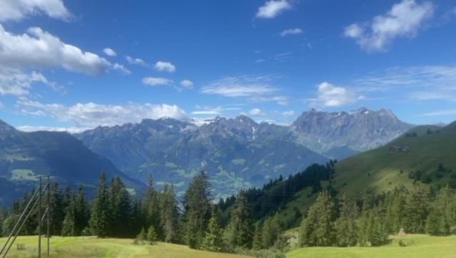 标准间带露台, Alphotel Biel Kinzig   Access By Cable Car Only!