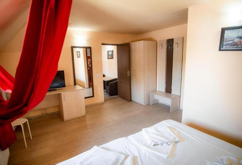 Номер Deluxe, Vila Panseluța