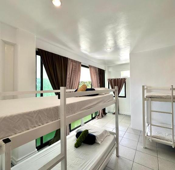 Четырехместный Номер Стандарт, Gracey Dive Resort And Restaurant