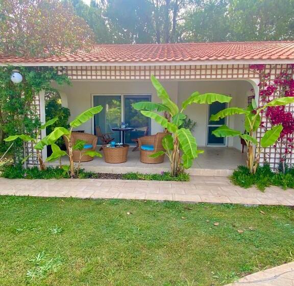 Стандартный Номер Кровать Кинг, Sunyear Guest Houses 1