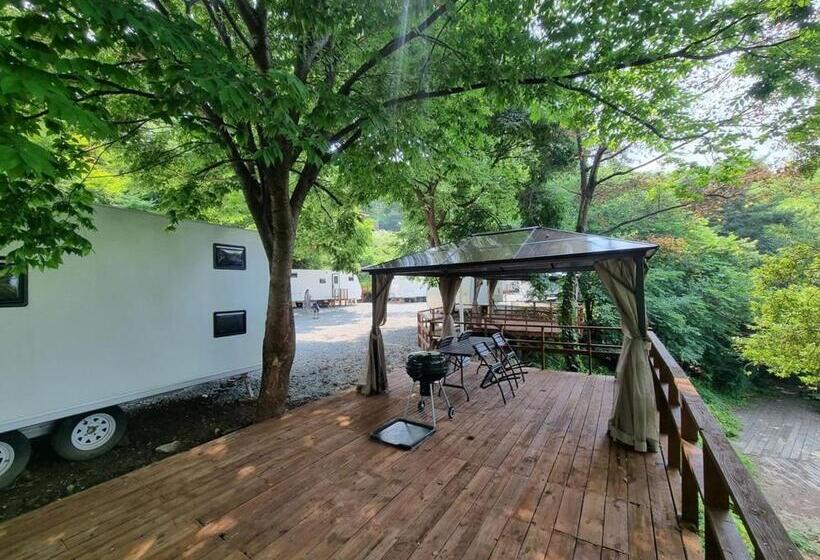 Номер Стандарт, Anseong Neorigul Moonhwa Maeul Caravan