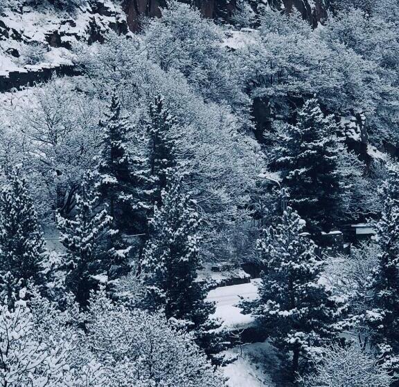 Номер Стандарт Вид на Сад, Jermuk Ani
