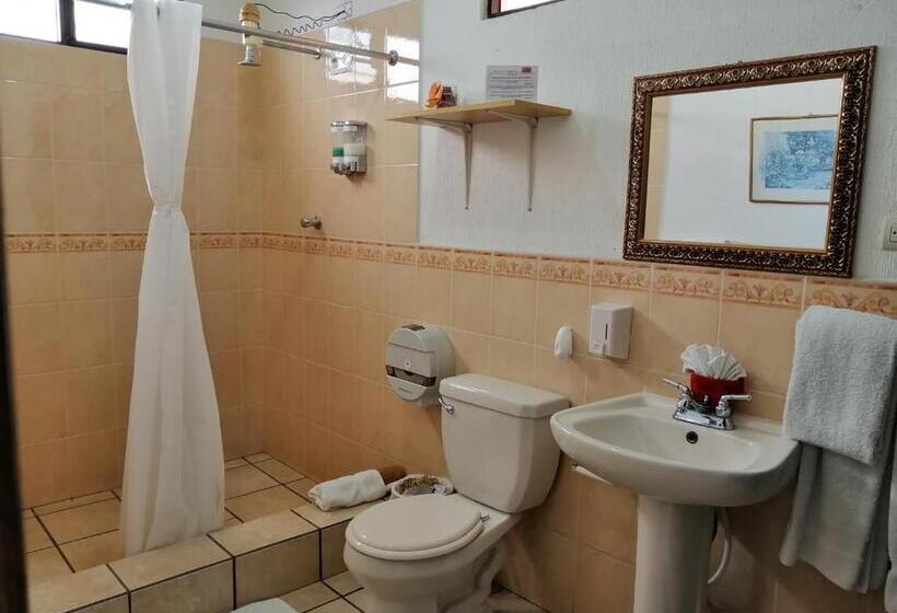 اتاق استاندارد چهار تخته, Novohostal B&b