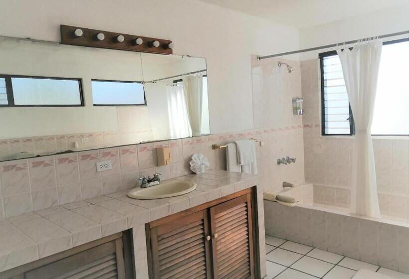 اتاق خانوادگی, Novohostal B&b