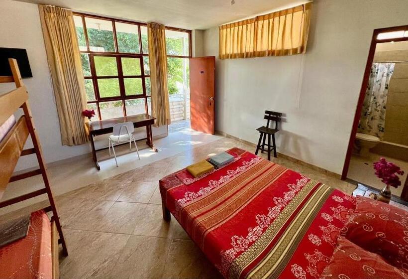 اتاق خانوادگی, Stone House Mancora