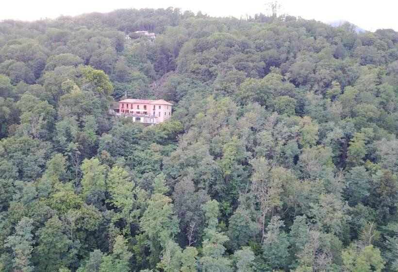 Номер Стандарт, B&b Alpina