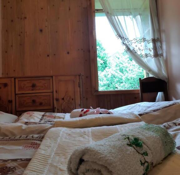اتاق استاندارد, Guest House Pangani