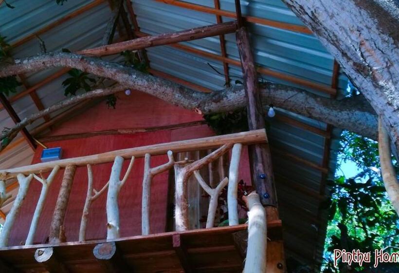خانه 1 خوابه, Pinthu Home Stay