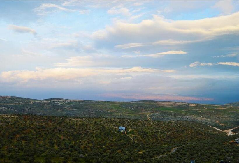 اتاق پرمیوم, Taybeh Golden
