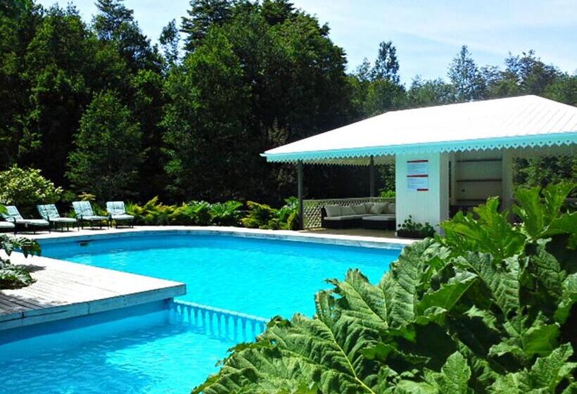 اتاق سوپریور چهار تخته, Salto Del Carileufu