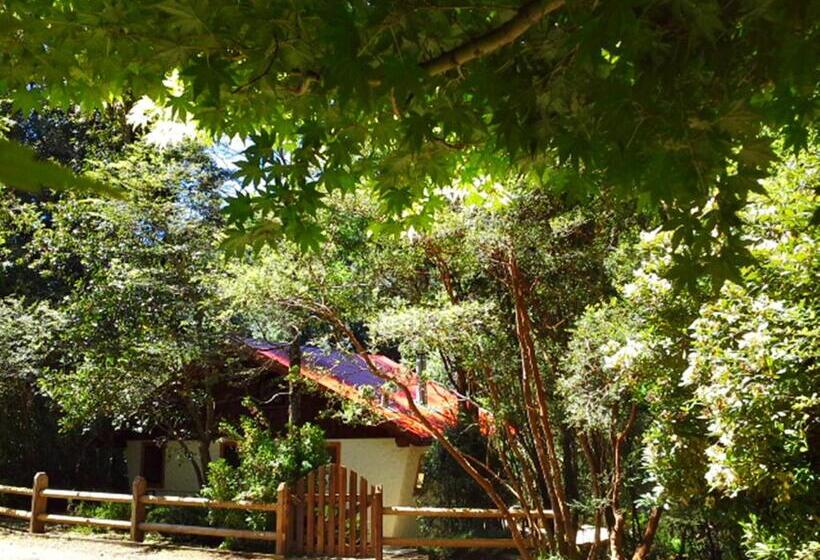 سوئیت با چشم‌انداز رودخانه, Salto Del Carileufu