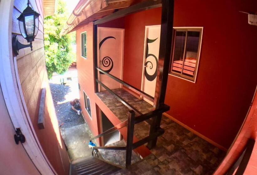 Cama em Quarto Compartilhado, Gecko Hostel