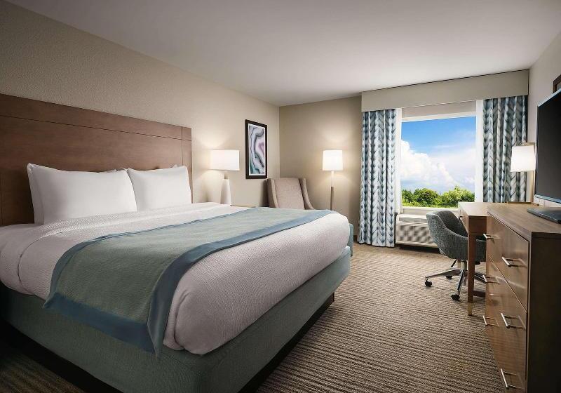 身障者適用キングサイズベッドルーム, Hampton Inn Kyle