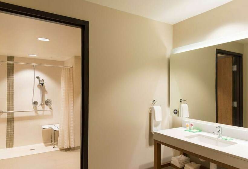 장애인을 위한 킹사이즈 침대 스탠다드 룸, Hyatt Place Ann Arbor