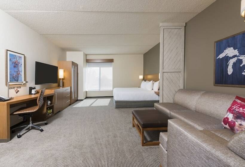 스탠다드 룸 킹사이즈 침대, Hyatt Place Ann Arbor