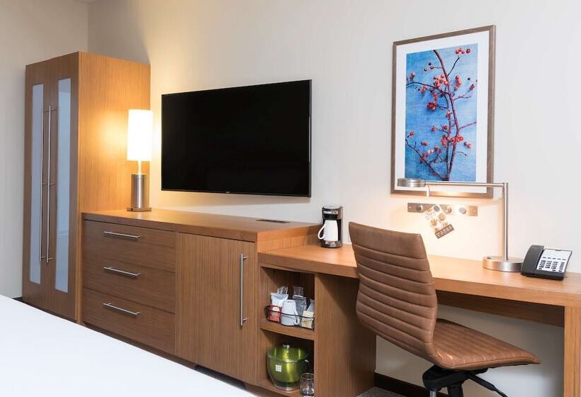 스탠다드 룸 킹사이즈 침대, Hyatt Place Ann Arbor