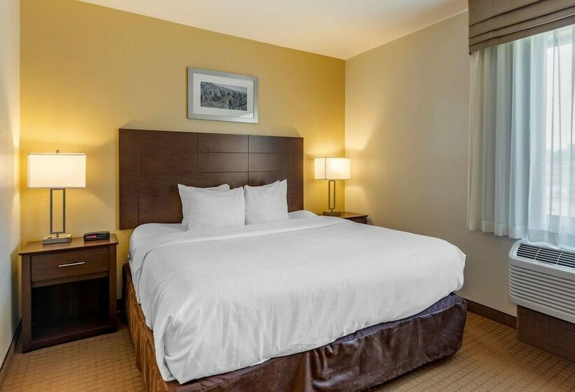 스위트, Mainstay Suites Near Denver Downtown