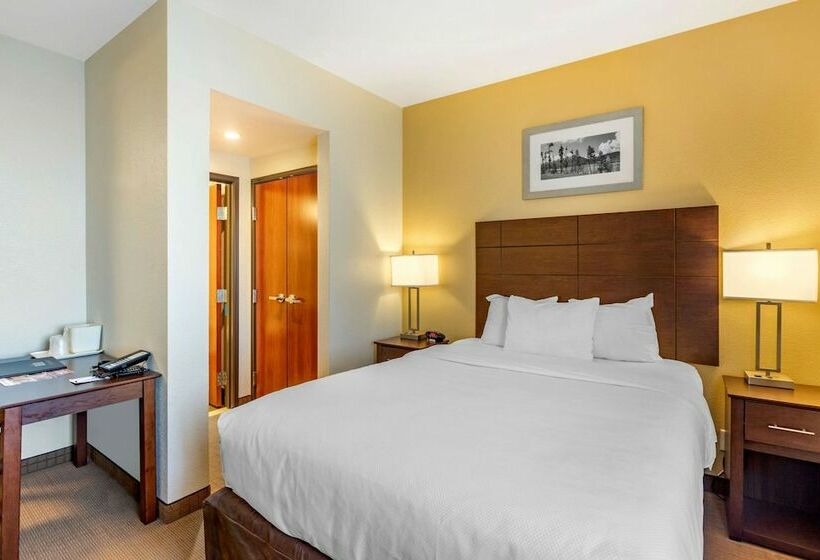 스위트, Mainstay Suites Near Denver Downtown