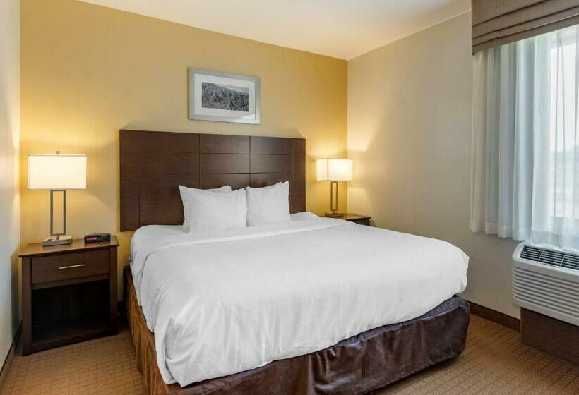 스위트 킹사이즈 침대, Mainstay Suites Near Denver Downtown