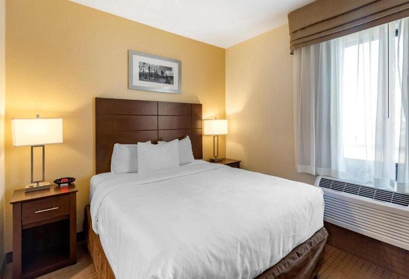 스위트, Mainstay Suites Near Denver Downtown