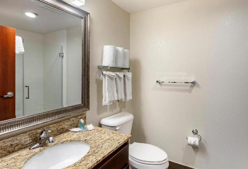 스위트, Mainstay Suites Near Denver Downtown