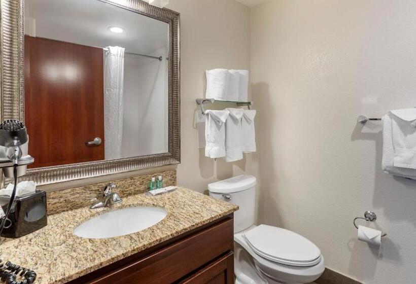 스위트, Mainstay Suites Near Denver Downtown