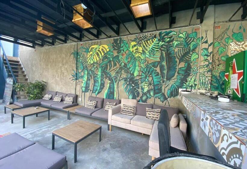تختخواب در اتاق مشترک, La Casa Roja Hostel