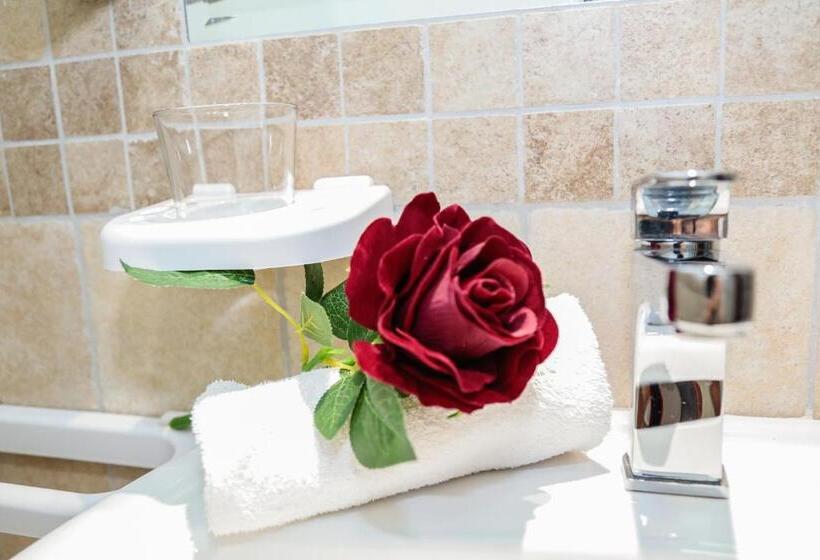 اتاق استاندارد یک نفره, Fiumicino Inn Airport