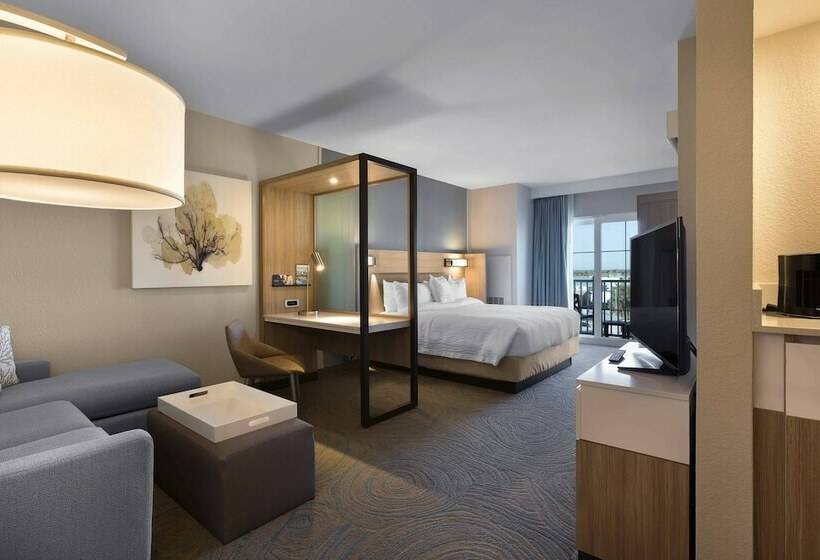 측면 바다 전망 스위트, Springhill Suites By Marriott New Smyrna Beach