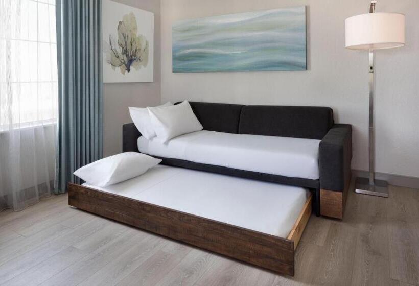 스위트, Springhill Suites By Marriott New Smyrna Beach