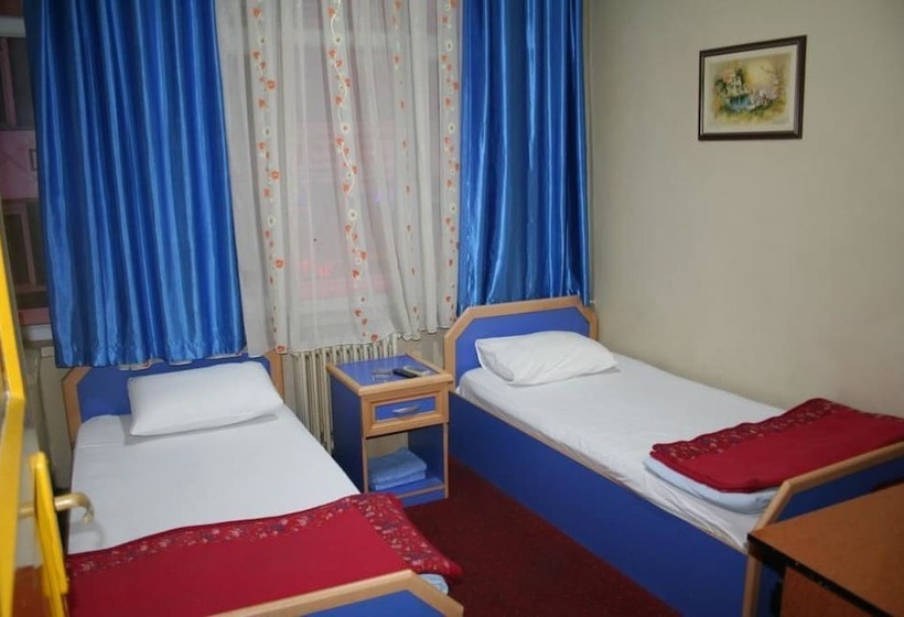 Номер Стандарт, Efebey Otel