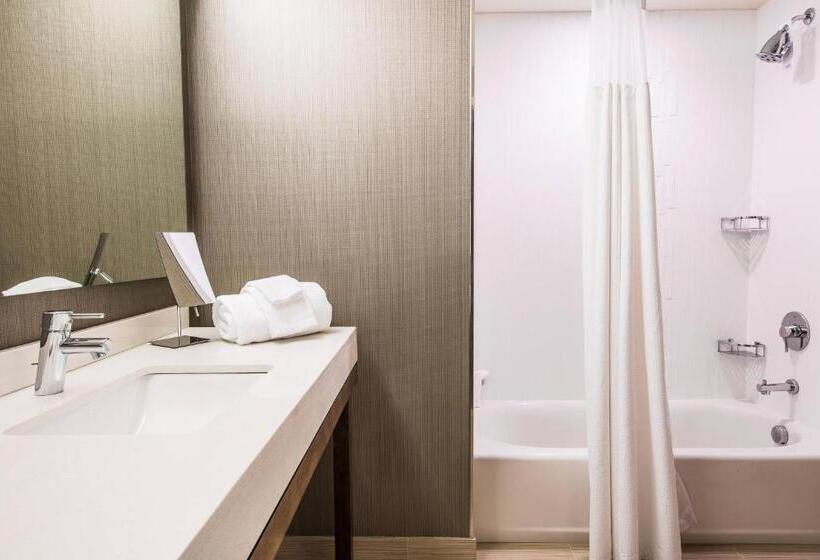 Standard Szoba, Courtyard By Marriott Columbia Cayce