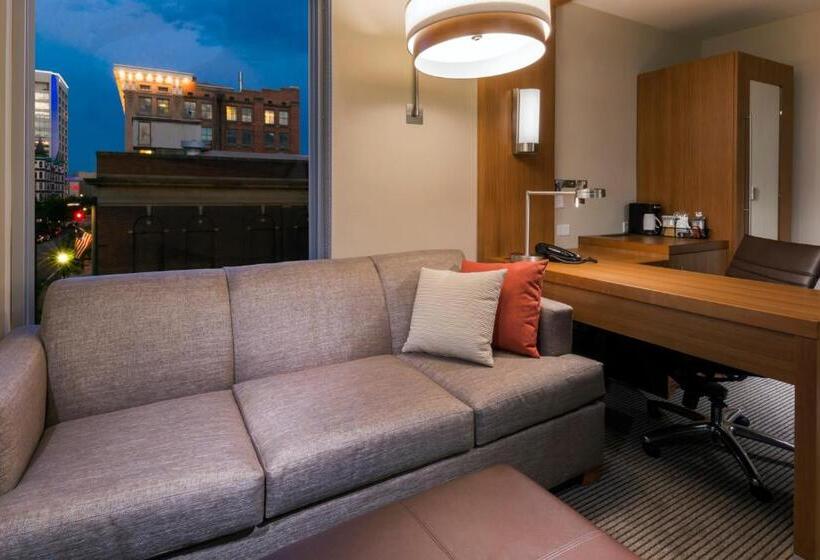 اتاق استاندارد با تخت بزرگ, Hyatt Place Boise/downtown