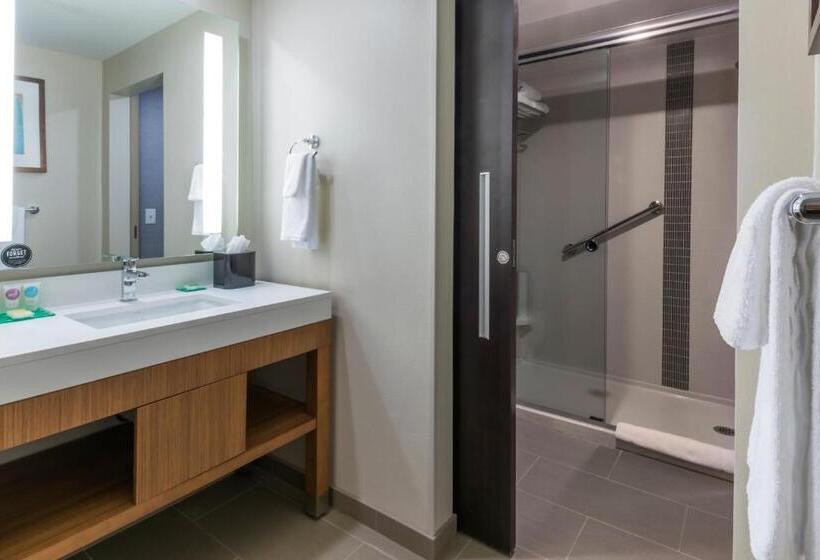 اتاق استاندارد, Hyatt Place Boise/downtown