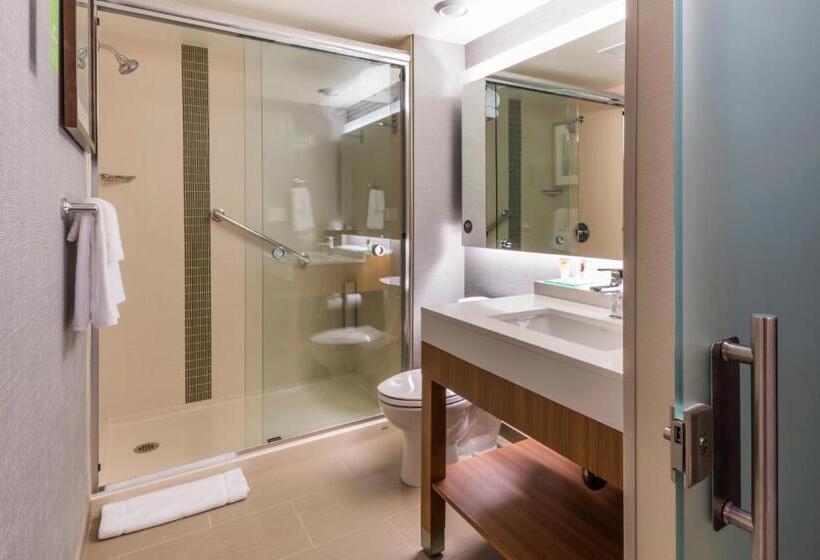 اتاق استاندارد با تخت بزرگ, Hyatt Place Boise/downtown