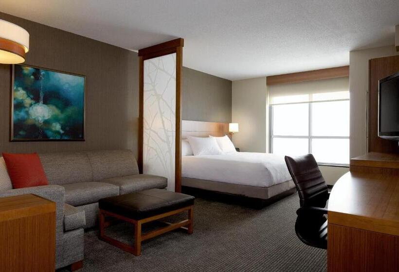 اتاق استاندارد با تخت بزرگ, Hyatt Place Boise/downtown