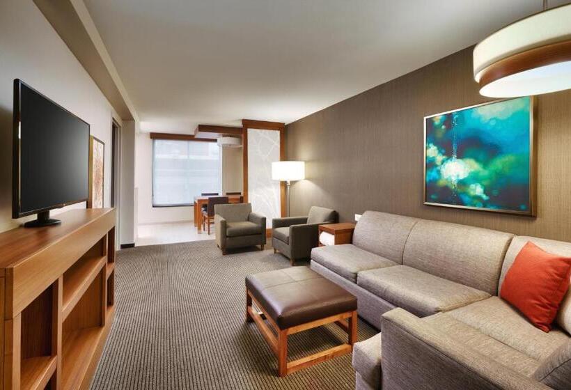 سوئیت با تخت بزرگ, Hyatt Place Boise/downtown