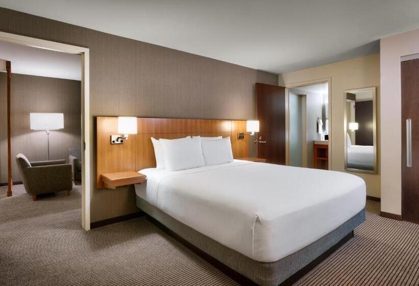 سوئیت با تخت بزرگ, Hyatt Place Boise/downtown