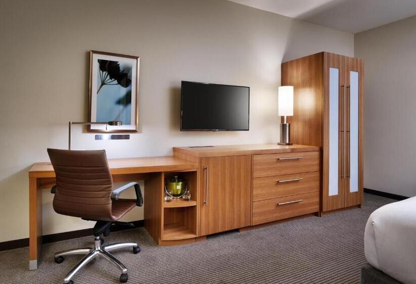 اتاق استاندارد برای معلولان, Hyatt Place Boise/downtown
