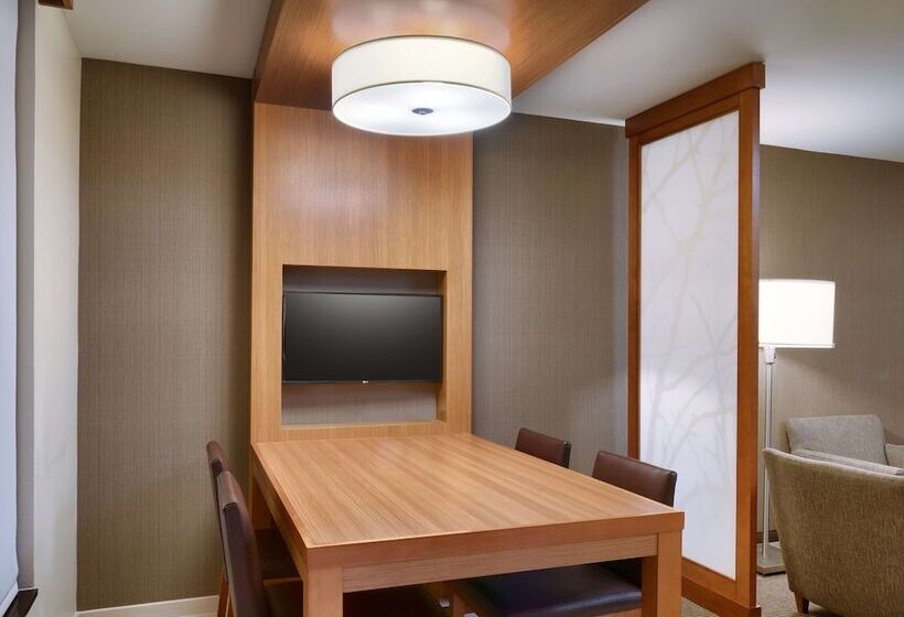 سوئیت با تخت بزرگ, Hyatt Place Boise/downtown